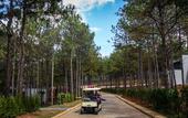 Туры в отель Terracotta Hotel & Resort Dalat
