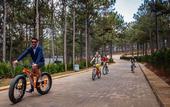 Туры в отель Terracotta Hotel & Resort Dalat