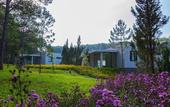 Туры в отель Terracotta Hotel & Resort Dalat