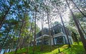 Туры в отель Terracotta Hotel & Resort Dalat