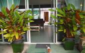 Туры в отель Hacienda Phuket