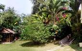Туры в отель Chez Charly Bungalow
