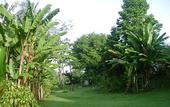 Туры в отель Chez Charly Bungalow