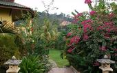 Туры в отель Chez Charly Bungalow