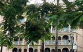 Туры в отель Grand Orlov Apart Hotel