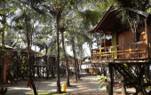 Туры в отель Goan Cafe N Resort