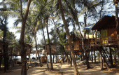 Туры в отель Goan Cafe N Resort