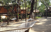 Туры в отель Goan Cafe N Resort