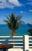 Туры в отель Benjamin Resort