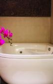Туры в отель Baipho Lifestyle