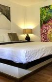 Туры в отель Baipho Lifestyle