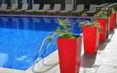 Туры в отель Sandy Beach Resort