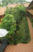 Туры в отель Ong Lang Garden Resort