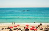 Туры в отель Sunprime Alanya Beach