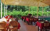 Туры в отель Turk Hotel