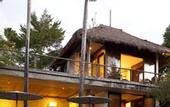 Туры в отель Planta Luxury Villa
