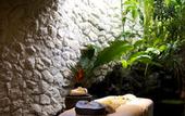 Туры в отель Planta Luxury Villa
