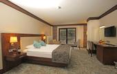 Туры в отель Taksim International Abant Palace Hotel