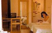 Туры в отель Aaritz (Levico Terme)