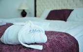 Туры в отель Pala's Premium Termal & Spa Center