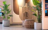 Туры в отель Kleopatra Dreams Beach Hotel
