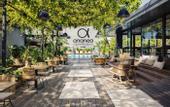 Туры в отель Cooks Club Alanya