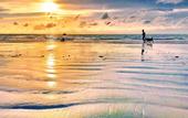 Туры в отель Ideo Phuket Hotel