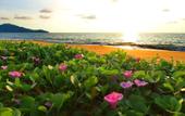 Туры в отель Ideo Phuket Hotel