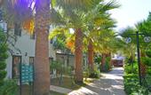 Туры в отель Anadolu Hotel Bodrum