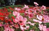 Туры в отель Ensana Grand Margaret Island Health Spa Hotel