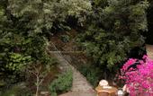 Туры в отель Oylum Garden
