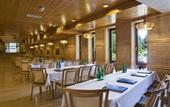 Туры в отель Ensana Thermal Aqua Health Spa Hotel