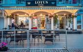 Туры в отель Lotus Hotel