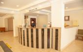 Туры в отель Solis Beach Hotel