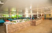 Туры в отель Solis Beach Hotel