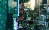 Туры в отель Benjamas Place
