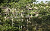 Туры в отель Tejaprana Resort & Spa