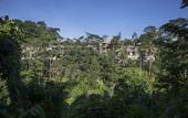 Туры в отель Tejaprana Resort & Spa