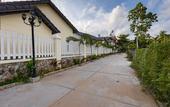 Туры в отель Blue Paradise Resort