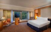 Туры в отель Ankara HiltonSA