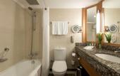 Туры в отель Ankara HiltonSA