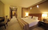 Туры в отель Dedeman Konya Hotel & Convention Center