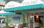 Туры в отель Hotel Palme