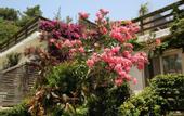Туры в отель Golden Key Hisaronu