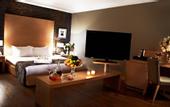 Туры в отель Hotel Seyhan