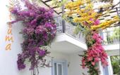 Туры в отель Satsuma Suites