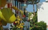 Туры в отель Creta Mar-Gio