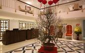 Туры в отель Adaline Hotel & Suites