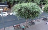 Туры в отель Dizengoff Inn