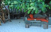 Туры в отель Nyamkwi White Sand